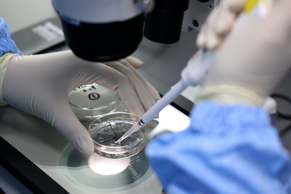 Un trabajador de laboratorio trabajando en una empresa de biotecnología en el condado de Yangxin, en la provincia de Shandong, en el este de China. Foto de CHU BAORUI / Feature China/Future Publishing vía Getty Images