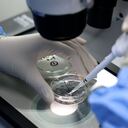 Un trabajador de laboratorio trabajando en una empresa de biotecnología en el condado de Yangxin, en la provincia de Shandong, en el este de China. Foto de CHU BAORUI / Feature China/Future Publishing vía Getty Images