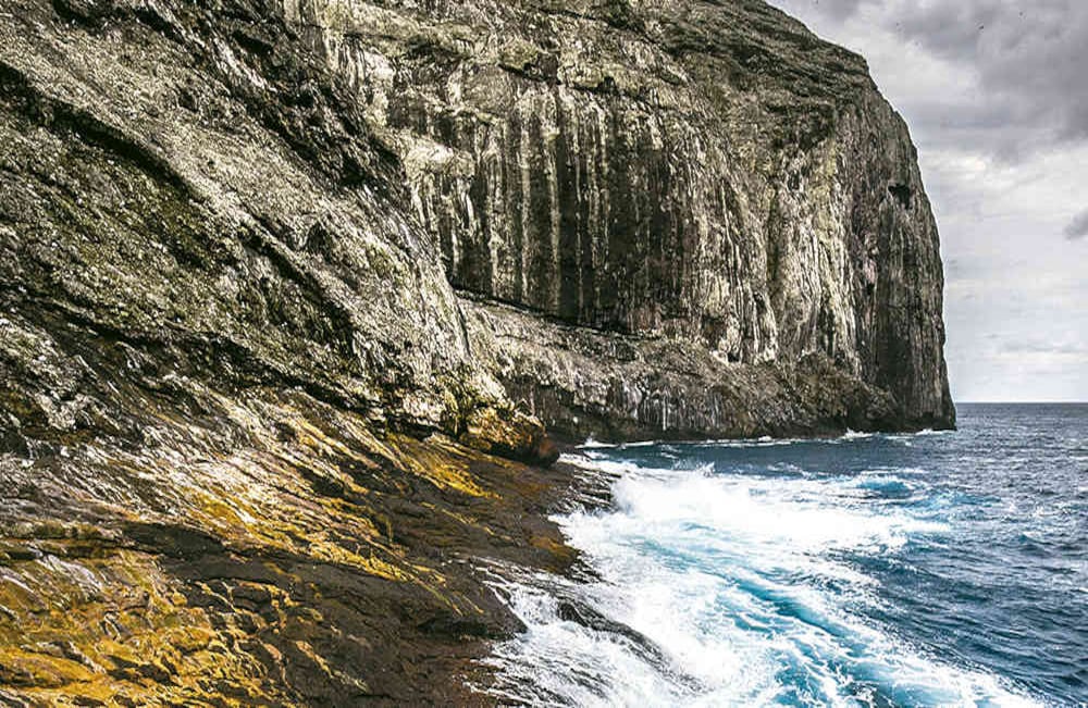 La Unesco declaró, en 2006, a Malpelo como Patrimonio Natural de la Humanidad.