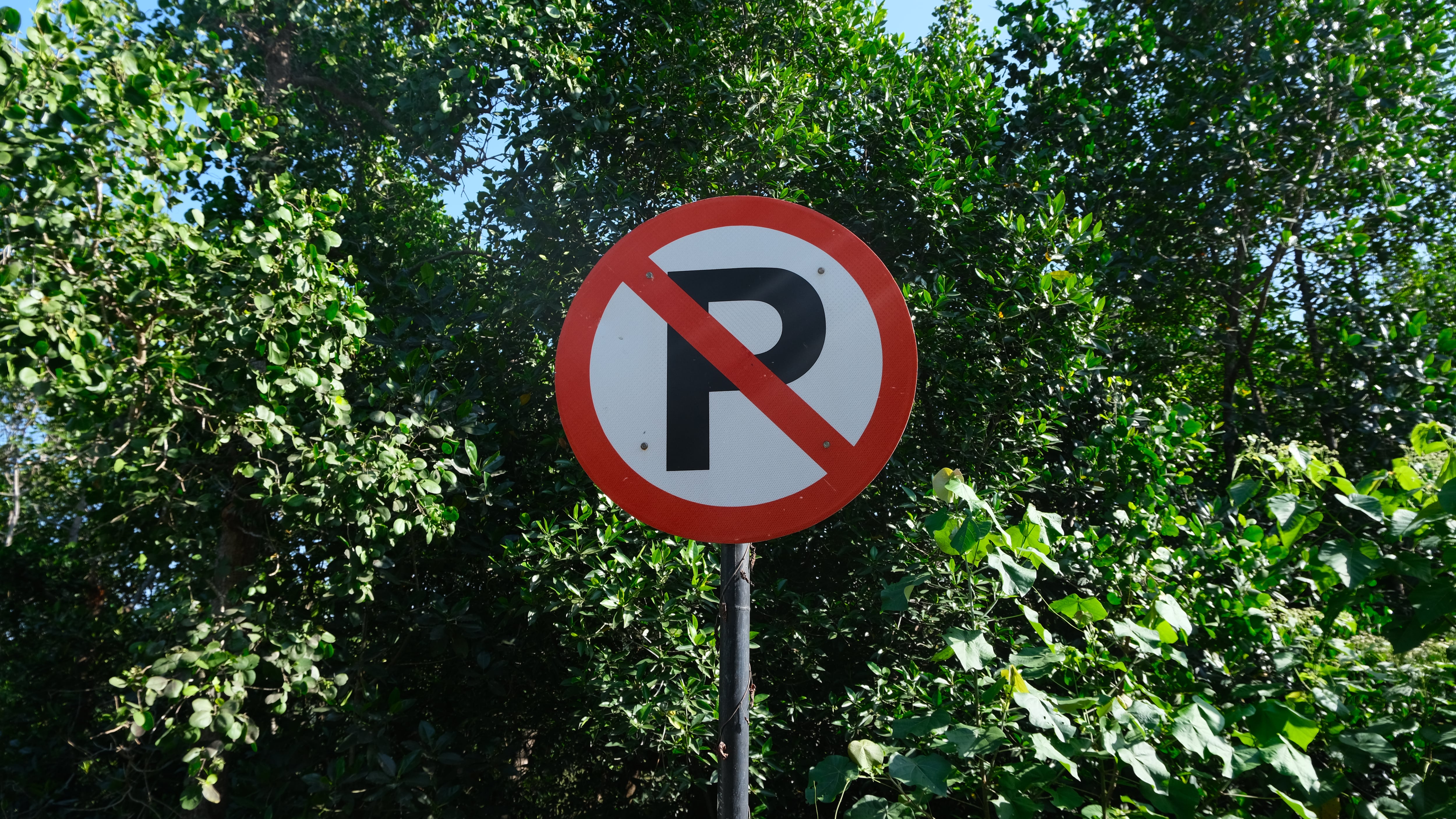 La señal de prohibido parquear opera desde el punto en el que se instala, hacia adelante y hasta la siguiente intersección, según el Manual de Señalización Vial.