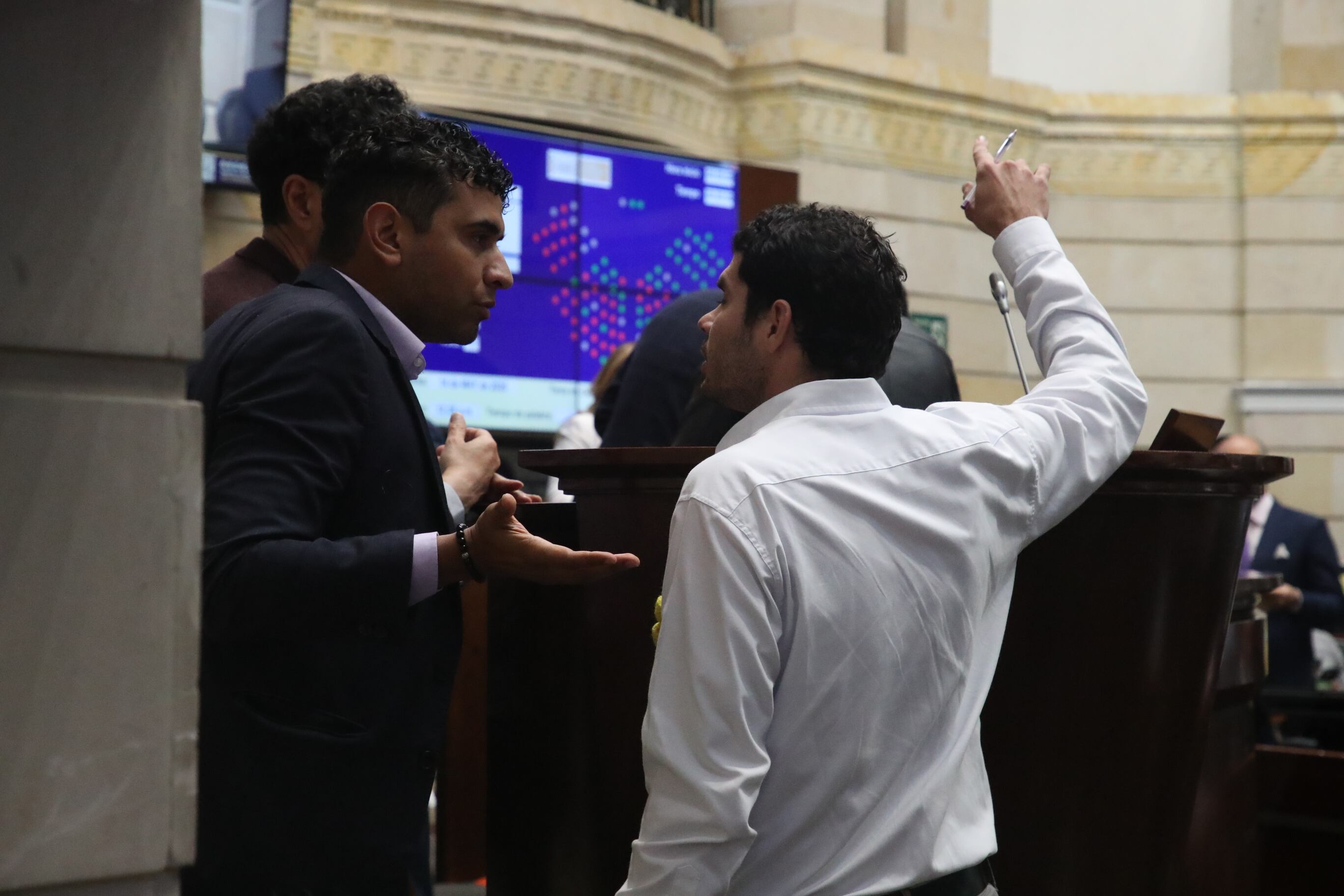 Plenaria Senado, consulta popular