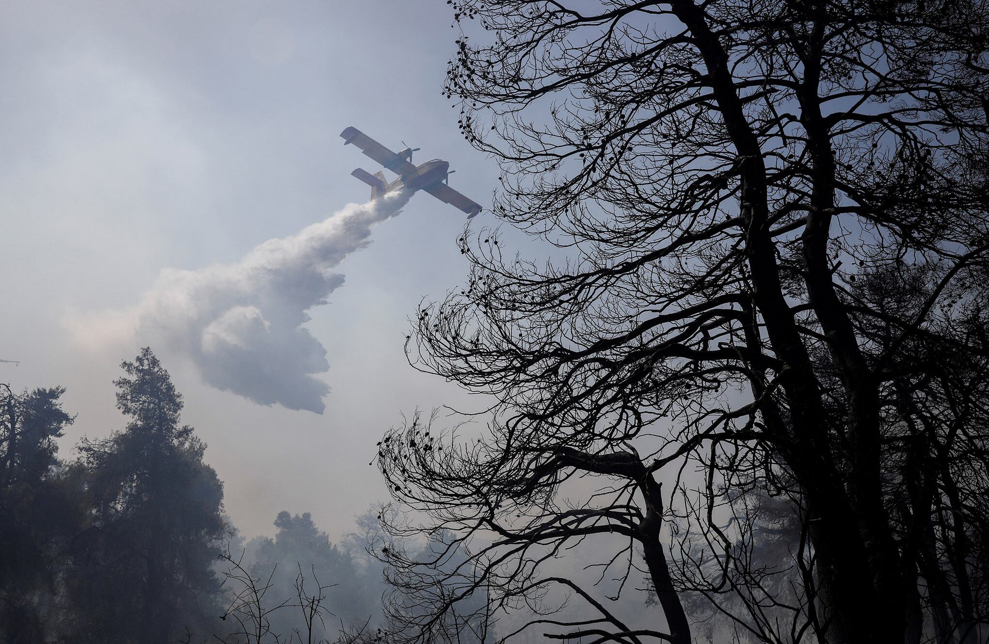 Incendios en Grecia y Turquía