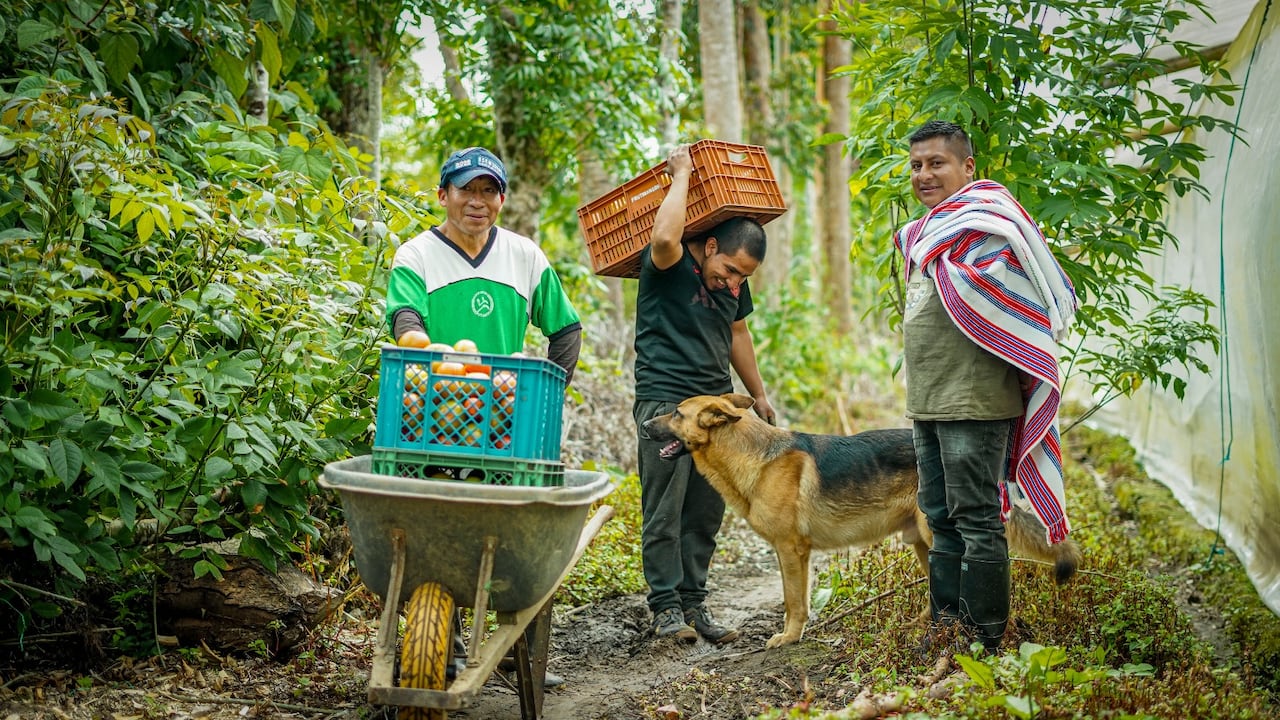 La convocatoria busca ayudar a transformar el campo colombiano.