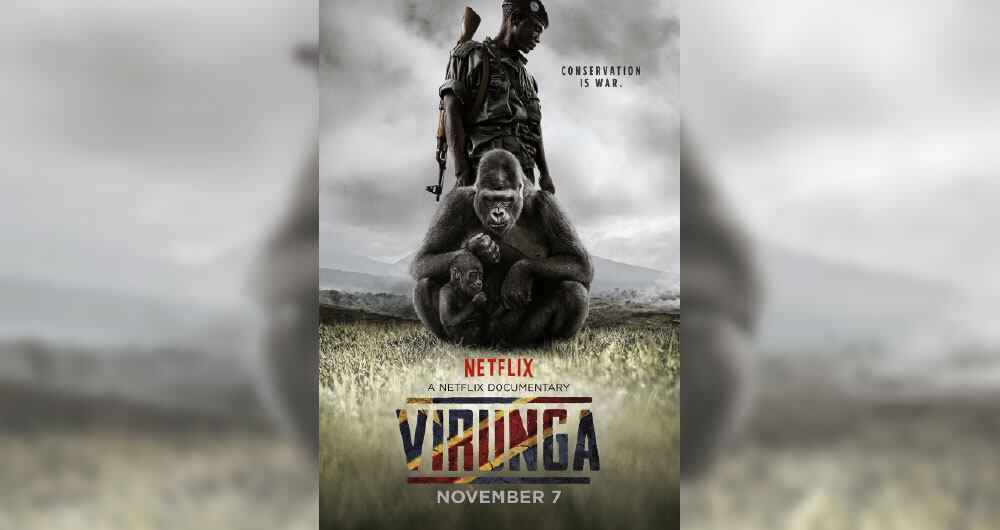 Animales de compañía_4