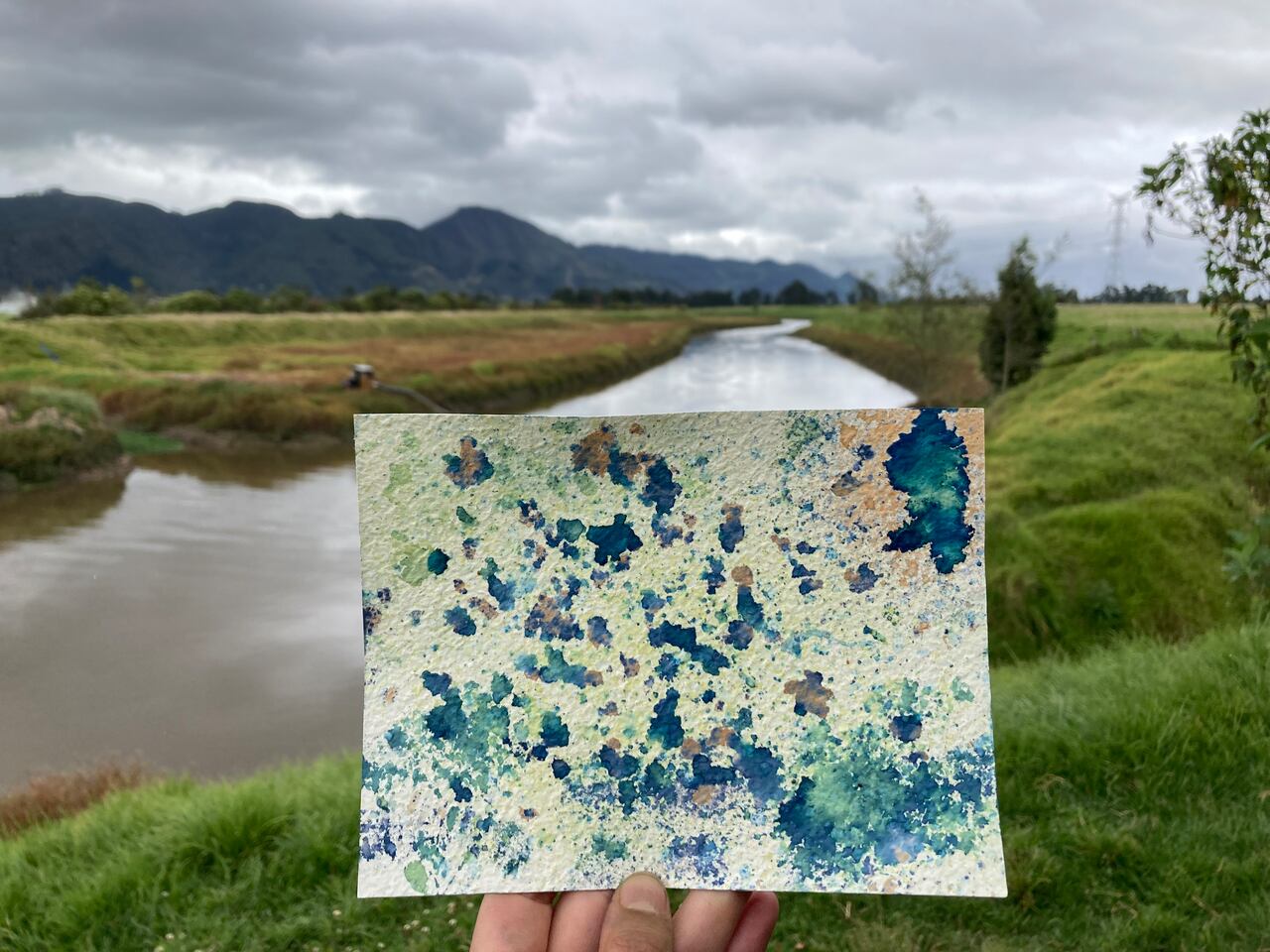 Aguaauragrafía en el Humedal La Conejera.