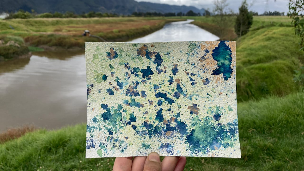 Aguaauragrafía en el Humedal La Conejera.