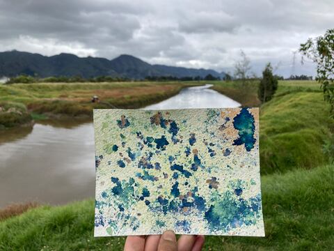 Aguaauragrafía en el Humedal La Conejera.