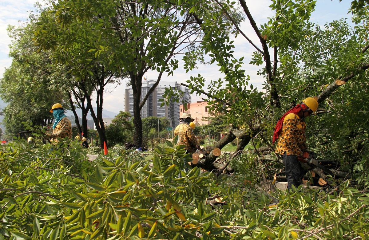 Foto: Pablo Andrés Monsalve Mesa.