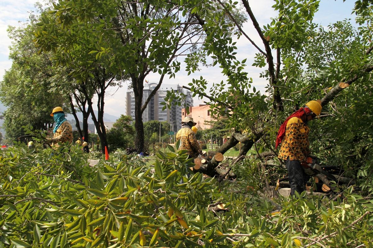 Foto: Pablo Andrés Monsalve Mesa.