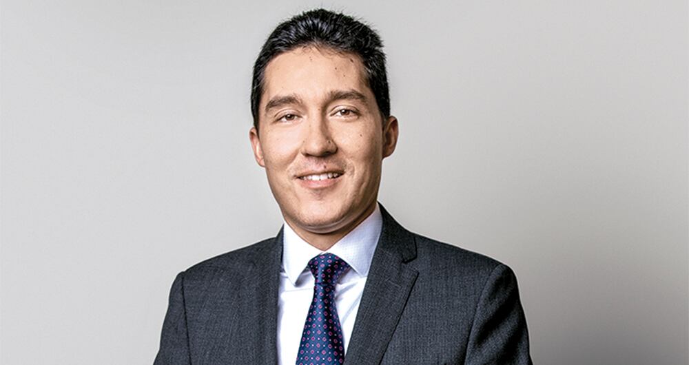 luis f. mejía Director de Fedesarrollo