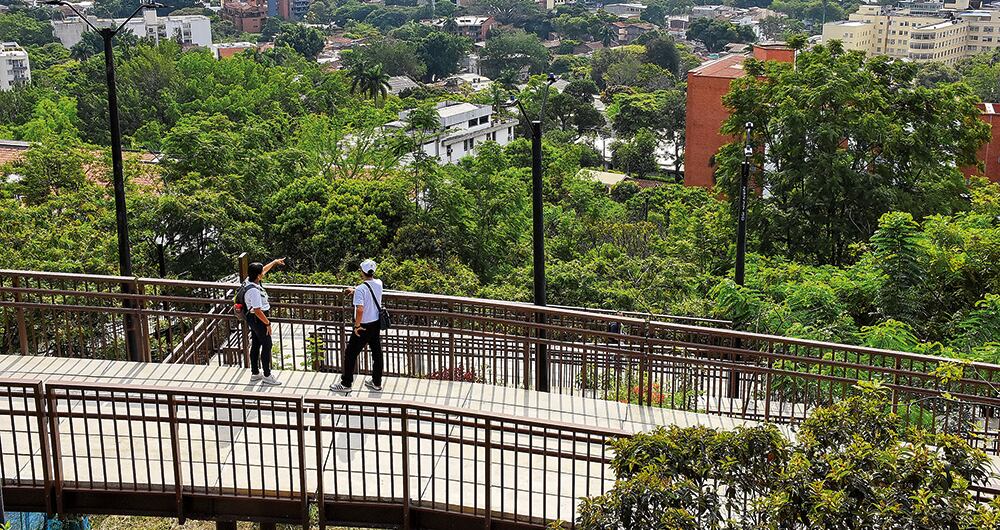 Para la semana de la Biodiversidad se espera que lleguen a Cali por lo menos 10.000 personas.