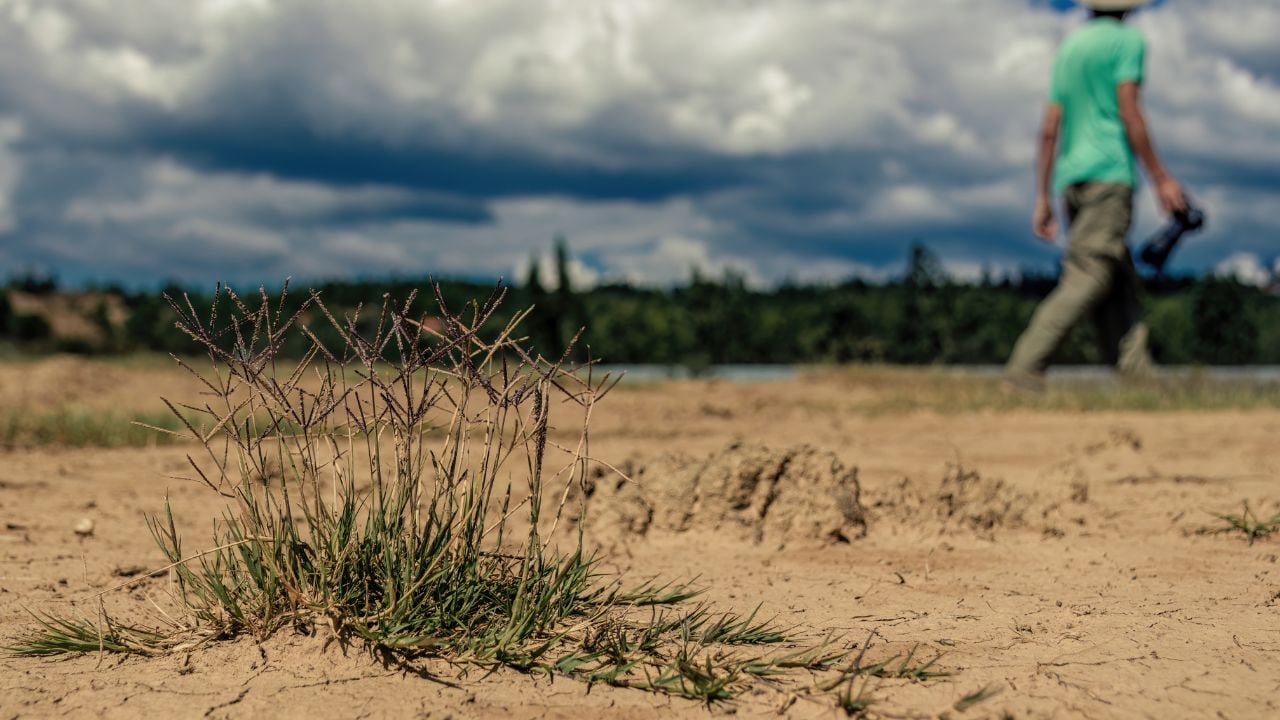 Las prioridades de Acolgen ante El Niño