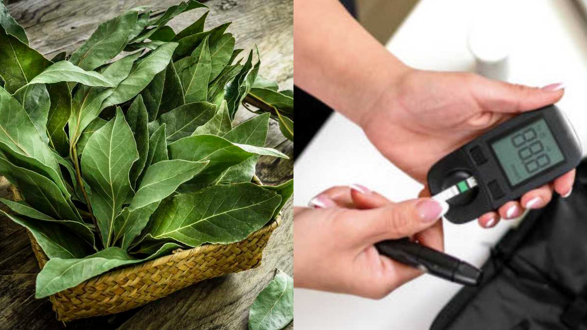 Laurel: así se puede usar para controlar la diabetes