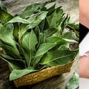 Laurel: así se puede usar para controlar la diabetes