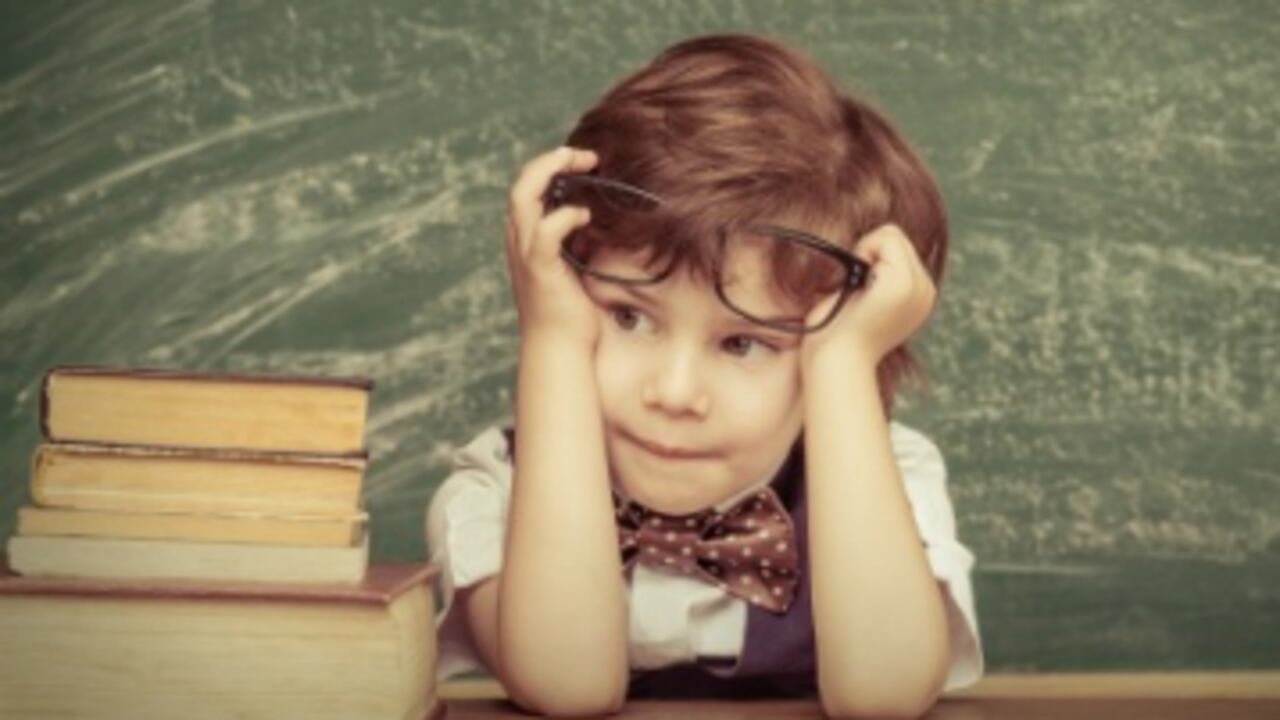 Encuentre en Internet una oferta muy amplia de artículos para el regreso a clases.