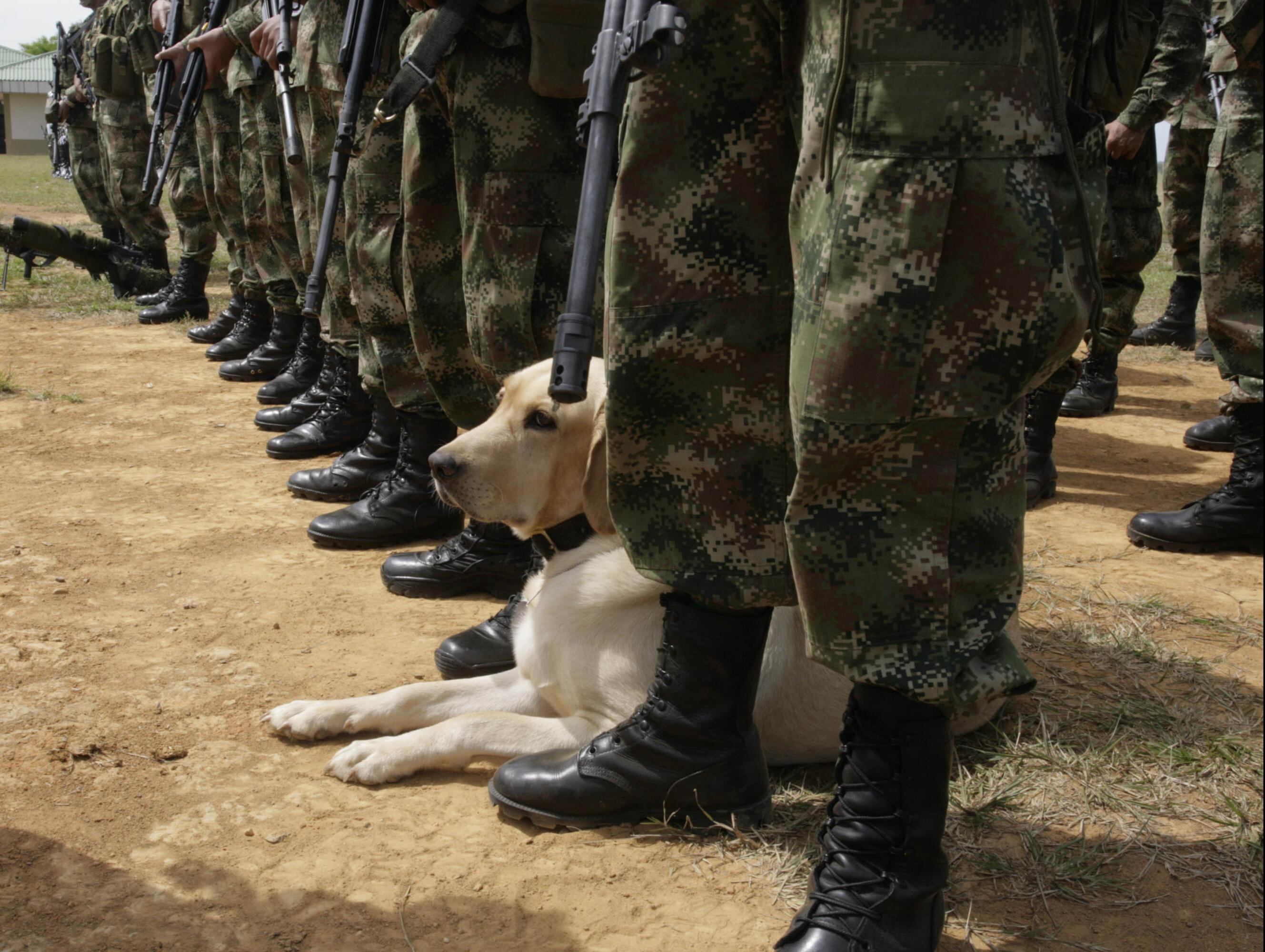 Ejército Nacional. Imagen de referencia
