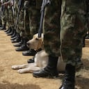 Ejército Nacional. Imagen de referencia