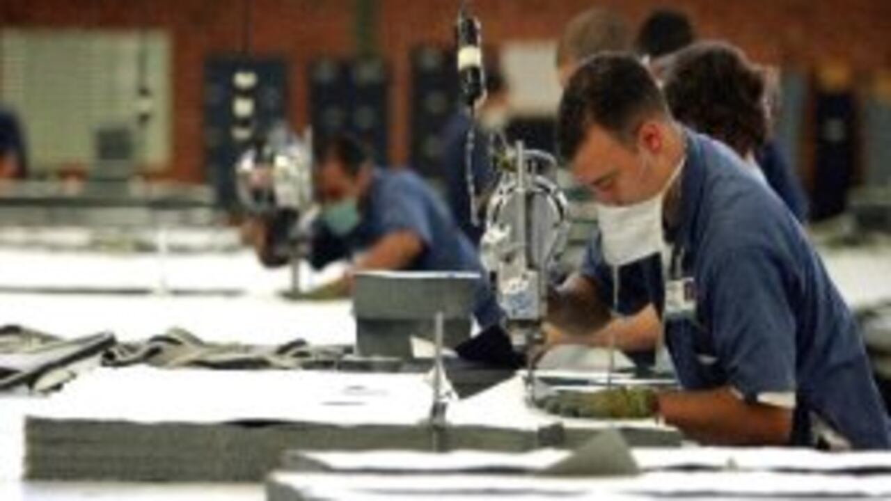 Más de 65.000 empresas han sido creadas bajo esta modalidad