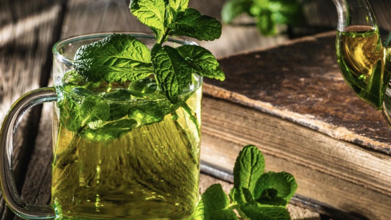 El té de menta.