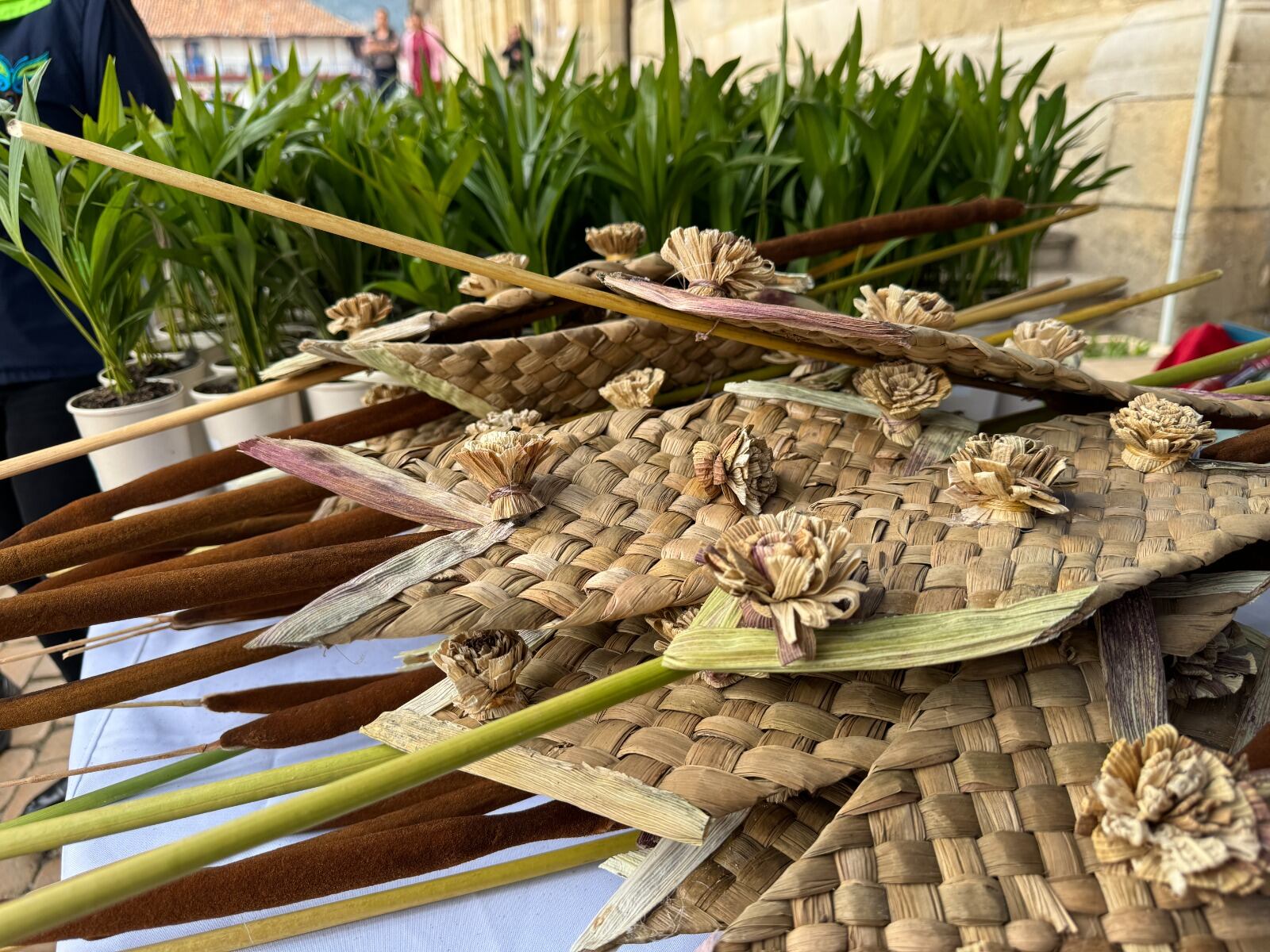 Llamado de la CAR a proteger el medioambiente en Semana Santa