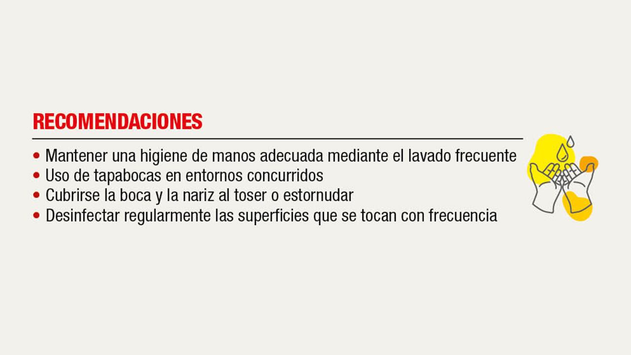 Expertos dan varias sugerencias para evitar el contagio.
