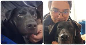 Javier es el propietario de 'Cosmo', el perro que llegó a Protección Animal y se le practicó la eutanasia.