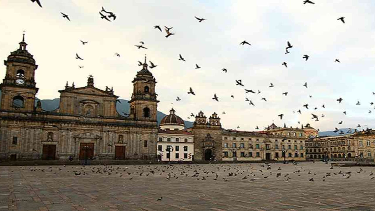 Entre semana el número de palomas en la Plaza de Bolívar de Bogotá es de aproximadamente 1.300, mientras que los fines de semana la cifra llega hasta a 3.400, según estudio. Foto: Archivo/Semana.com