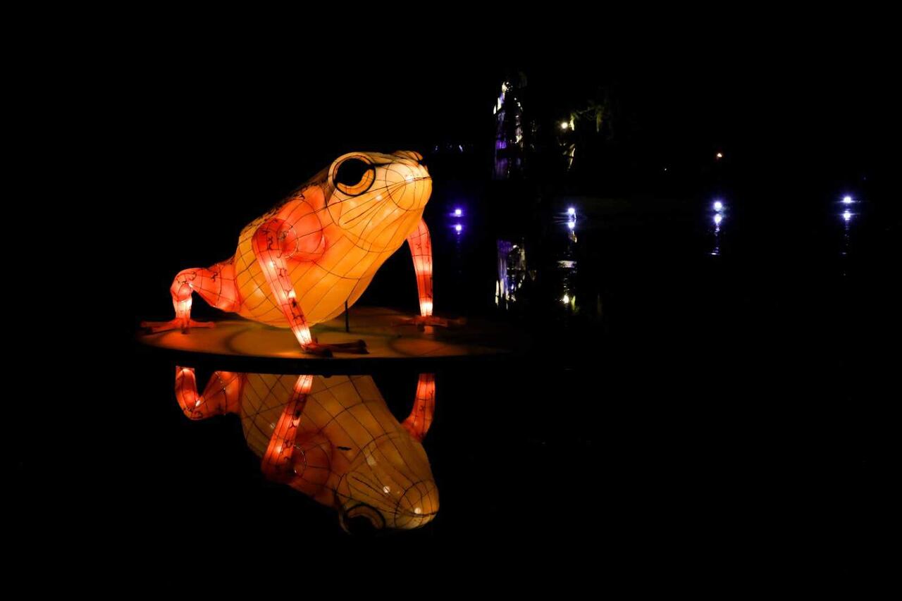 Festival de luces Jardín Botánico Bogotá