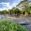 Hace cuatro meses las veredas están inundadas.