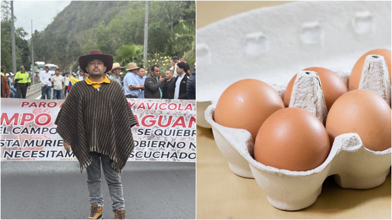 Jorge Lozano expone la situación tras el paro de agricultores en la vía al Llano