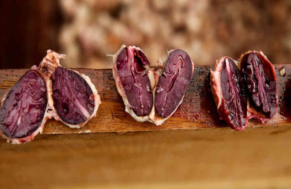 En San Vicente del Caguán (Caquetá), 79 familias están cultivando cacao. Foto: Daniel Reina