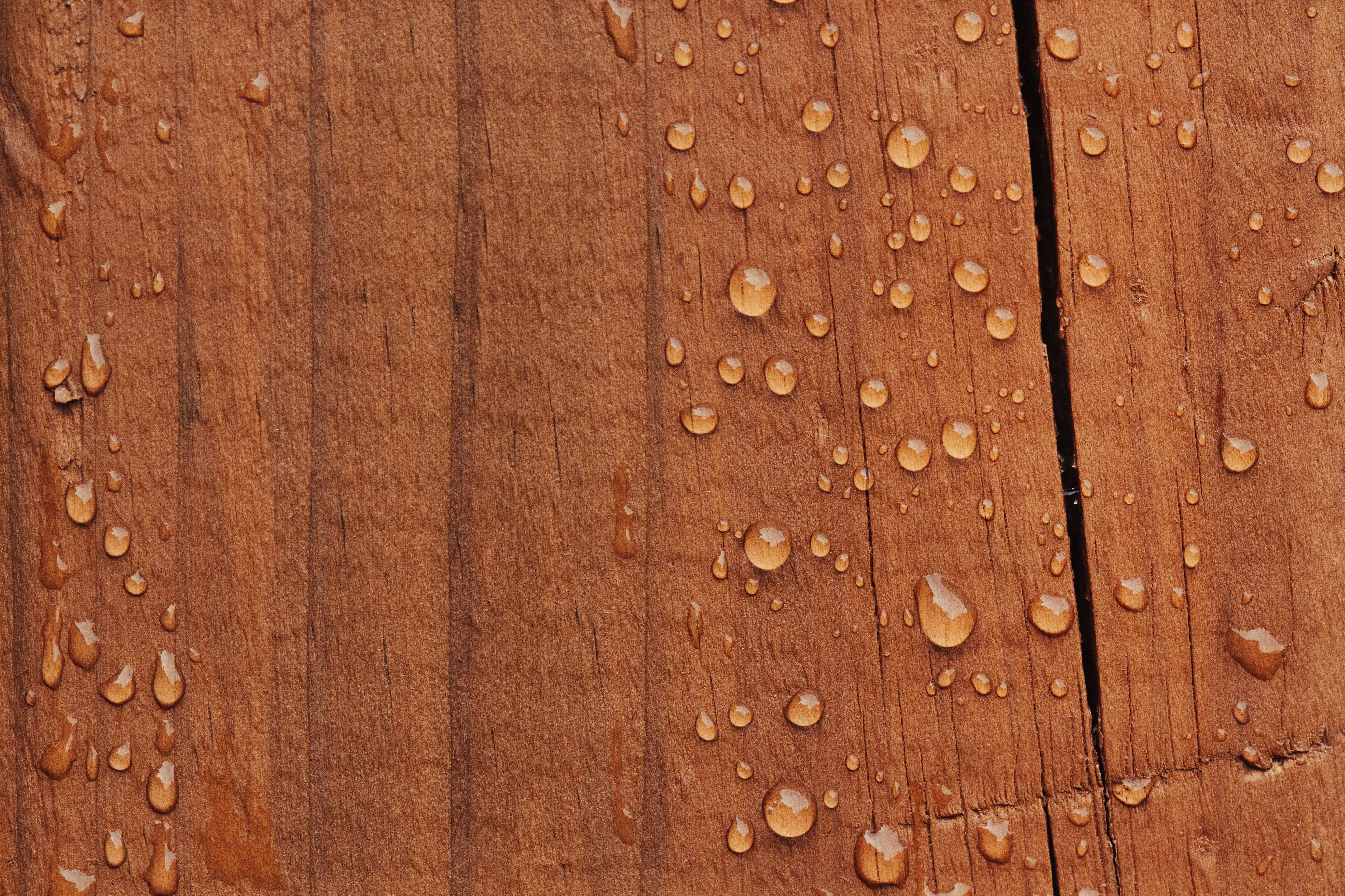 Las manchas de humedad pueden ser muy profundas y difíciles de eliminar solo con limpiadores.