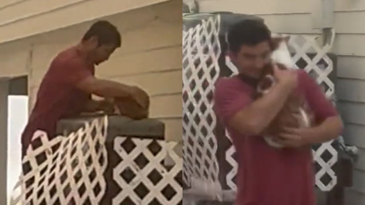 Mike Ross es un hombre de 29 años se ganó el cariño de los estadunidenses gracias a un vídeo en el que salva a un gato de la fuerza del huracán Ian.