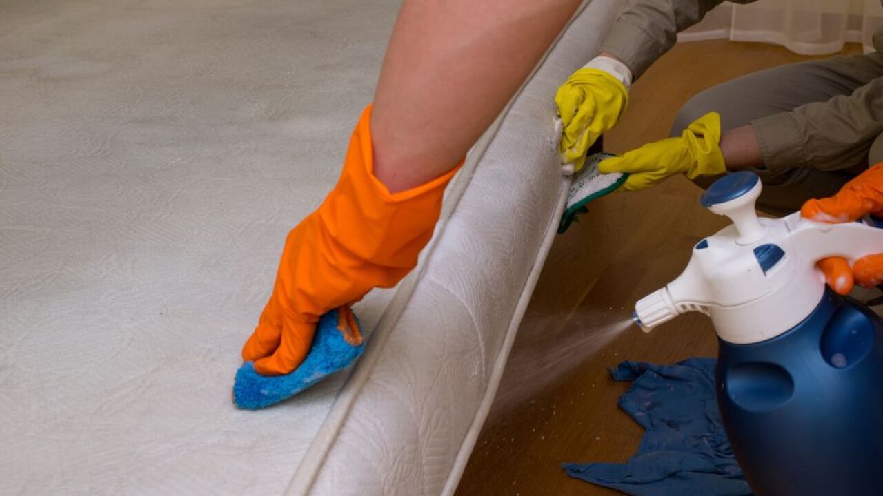 Los colchopnes deben limpiarse con cierta frecuencia para evitar la acumulación de mugre y ácaros.