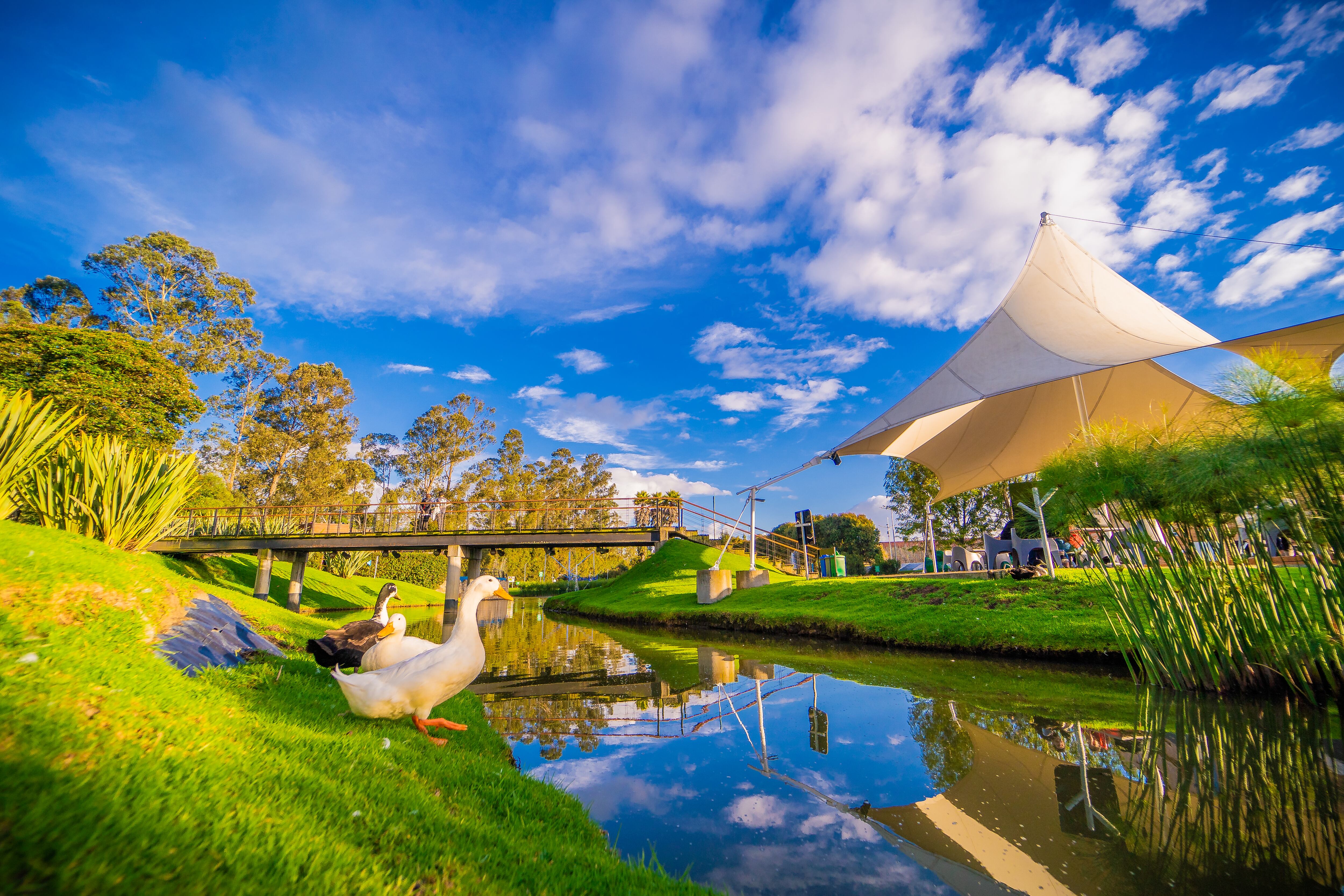 Centro Chía, un  centro comercial de bienestar.