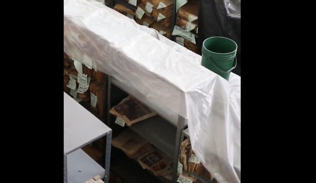 El procurador delegado también manifestó que es crítico que se inviertan 2 millones de dólares “en la logística que supone una conferencia del Convenio de Biodiversidad, pero incumplamos el propio convenio que insta al Estado a hacer la inversión financiera necesaria para poder fomentar y fortalecer la investigación en el país”.