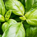 Combata la retención de líquidos de forma natural con esta planta medicinal depurativa.