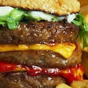 BBC - Science Photo Library