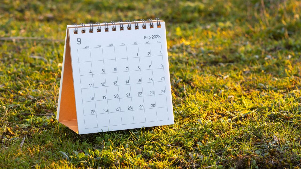 Descubra cuál es el santo del 6 de septiembre.