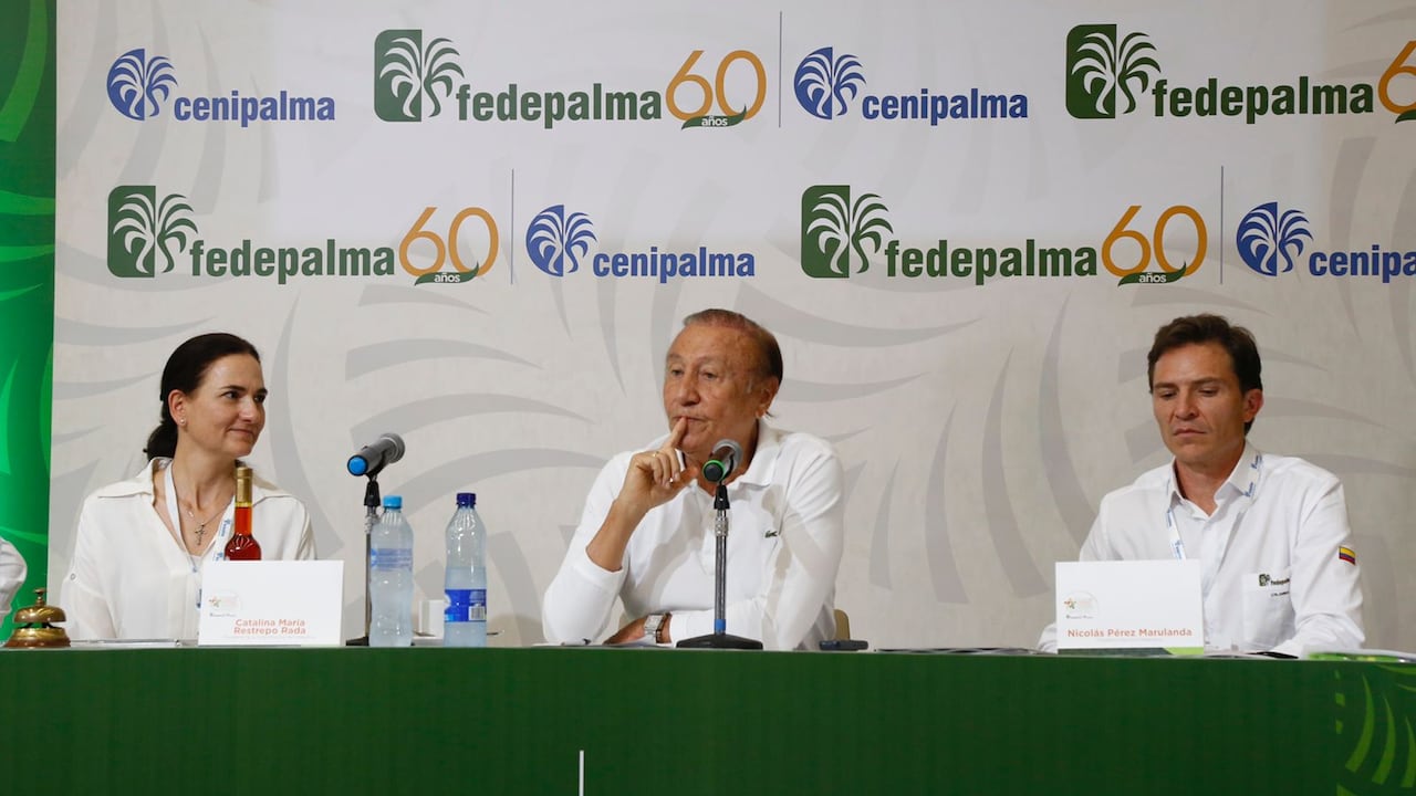 Hernández explicó que el objetivo "no es ganar por 10.000 o 20.000 votos".