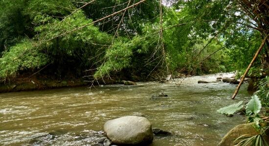 La minería ilegal sería la causa de la contaminación.