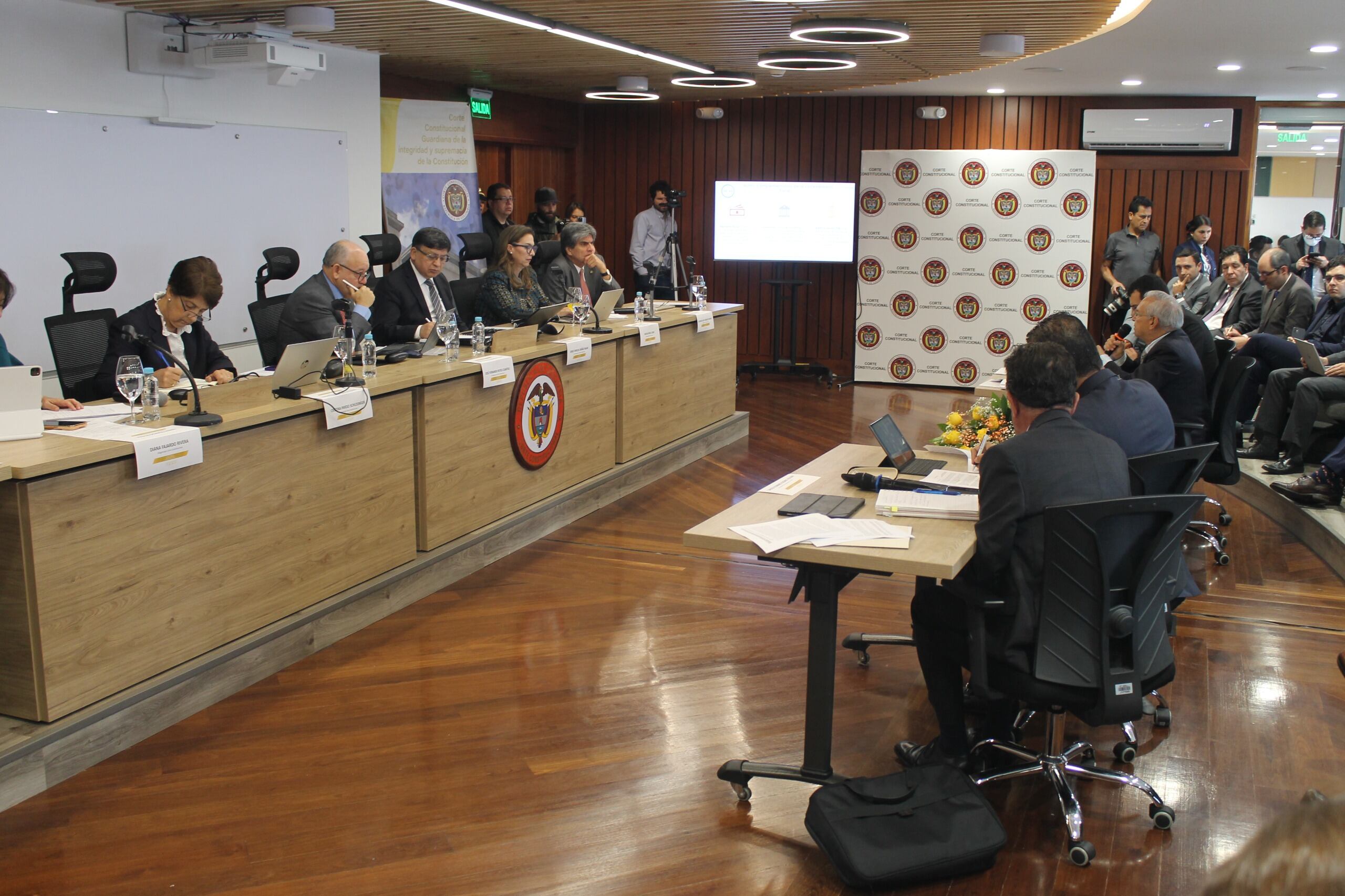 Corte Constitucional