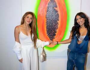 Shakira fue criticada por el aspecto de su rostro, cuando asistió a un evento de arte de su sobrina Isabella Mebarak.