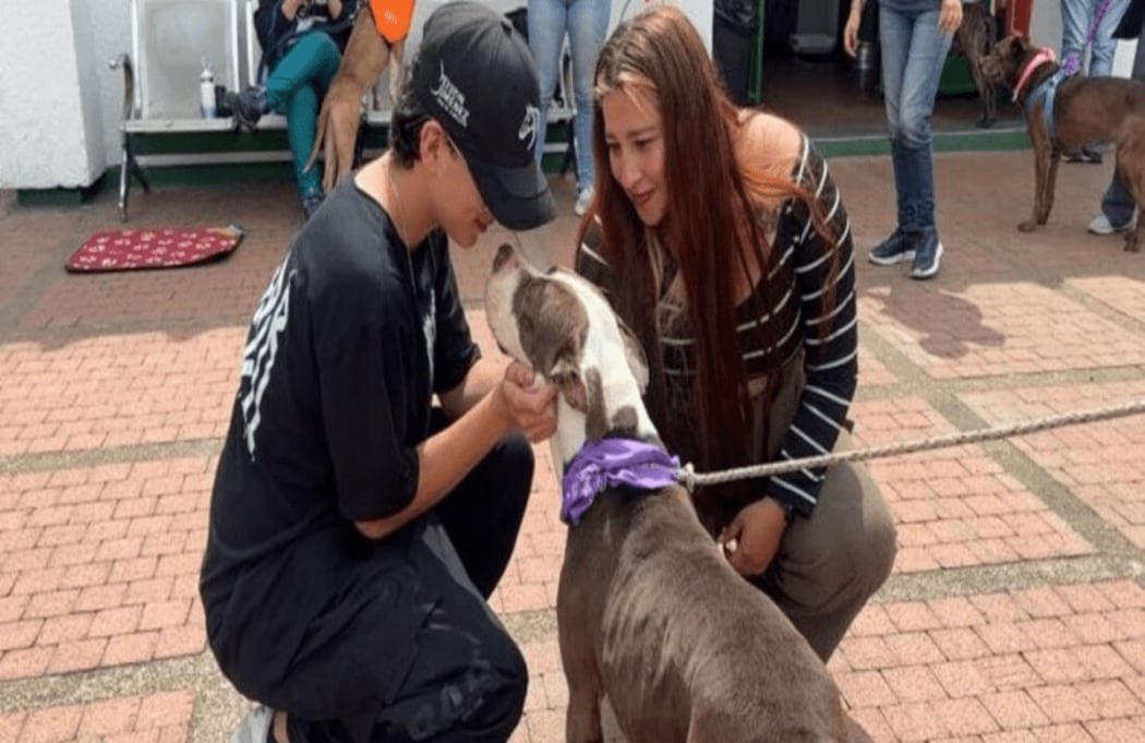 La adopción se desarrolló durante la actividad desarrollada en la Unidad de Cuidado Animal.