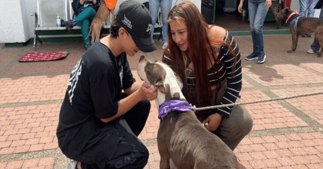 La adopción se desarrolló durante la actividad desarrollada en la Unidad de Cuidado Animal.