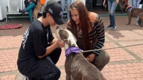 La adopción se desarrolló durante la actividad desarrollada en la Unidad de Cuidado Animal.