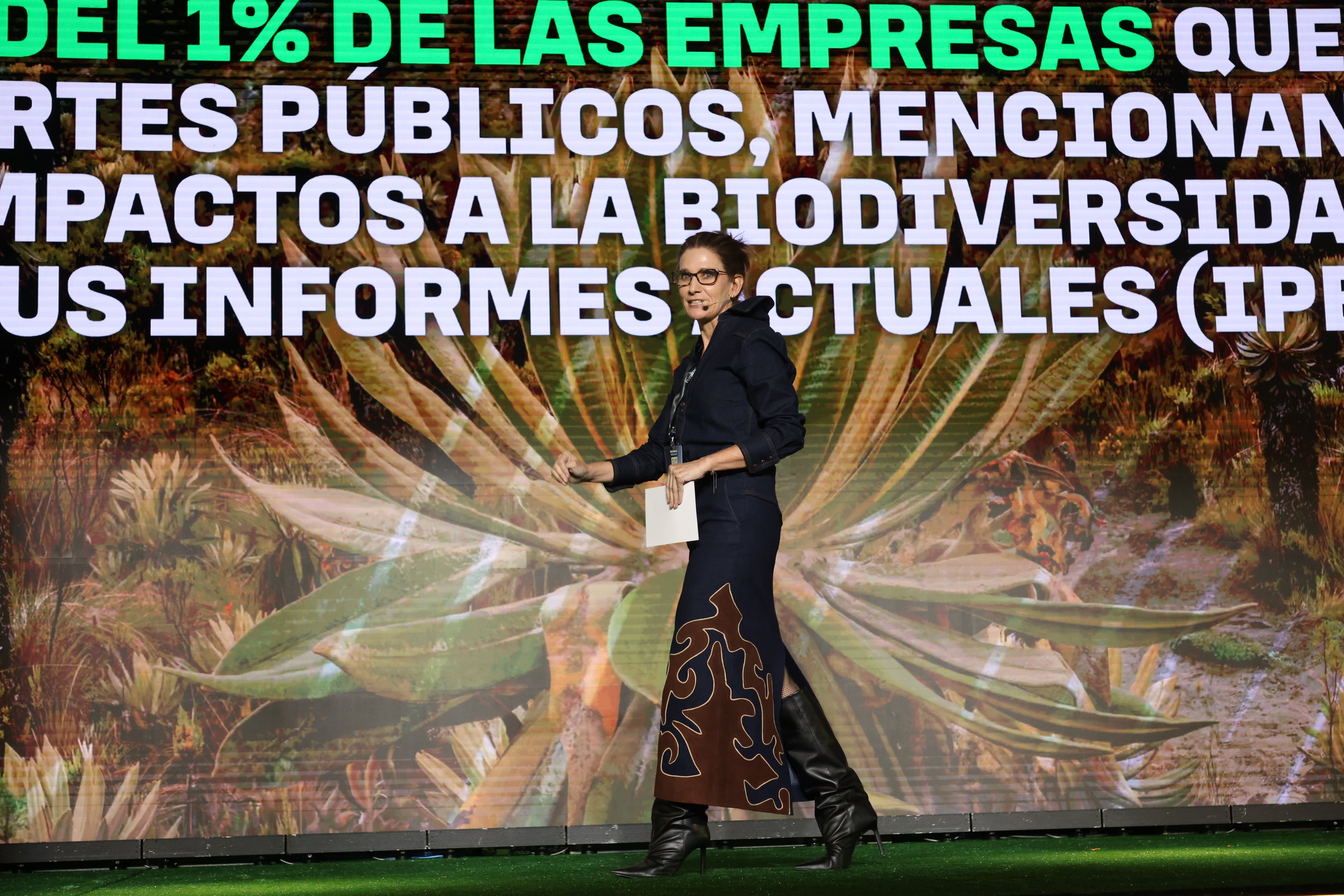 Cumbre Sostenibilidad