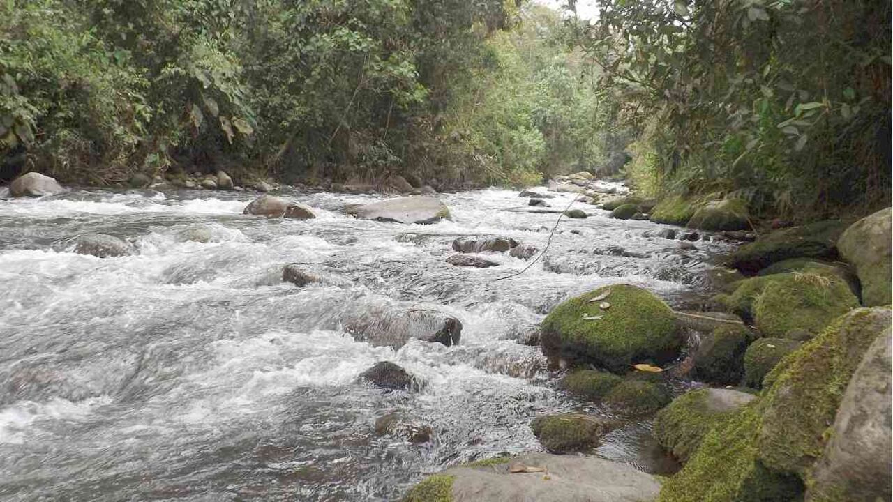 Las autoridades deberán velar por conservar el río Otún, que abastece de agua al 80% del departamento de Risaralda. Foto: Young Shanahan/Flickr