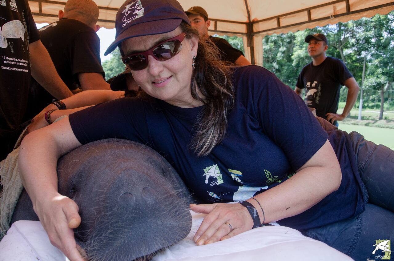 Dalila Caicedo, la mamá de los manatíes