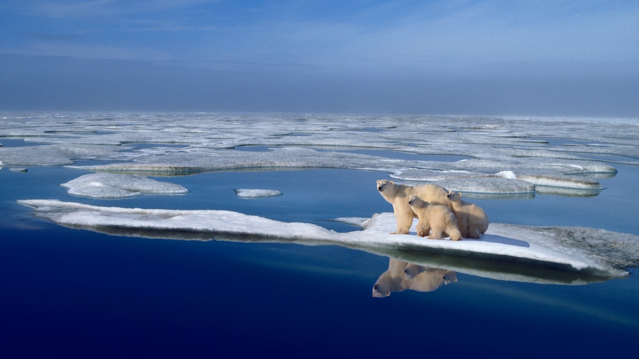 Compuesto digital. Alaska, Mar de Beaufort, Océano Ártico, marzo.